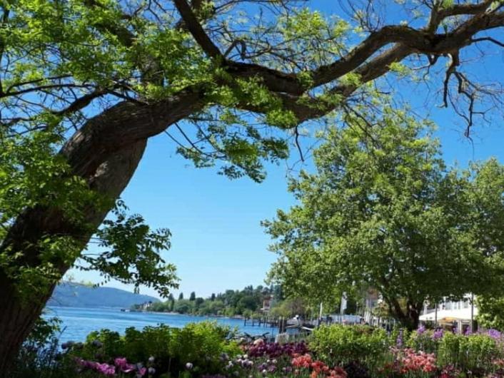 Lakeview Penthouse ميرسبرغ المظهر الخارجي الصورة
